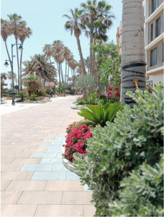 Side -estepona * Estepona